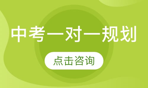 中考一对一规划