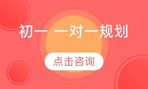 初一 一对一规划