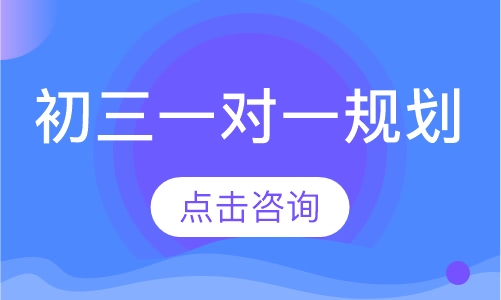 初三一对一规划