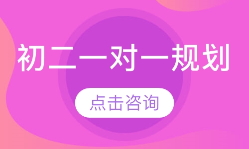 初二一对一规划