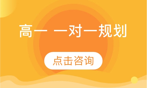 高一 一对一规划
